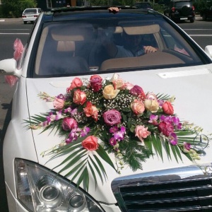 10666001_286845554838060_2057120876_n