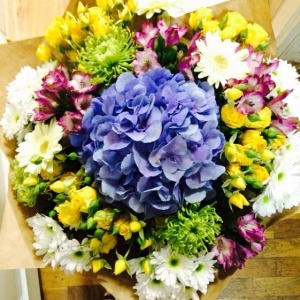 10570181_722631394476902_2138829828_n