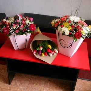 10986276_1015808361766890_355195795_n