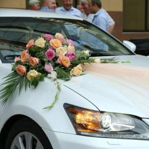 10507985_1506593882886262_785743478_n