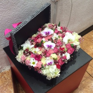 10959196_1529115844020498_2143782607_n