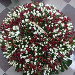 1742535_304106319794475_516937018_n