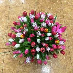 11005091_744640805652296_1376933373_n