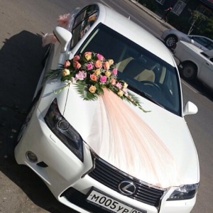 914363_233970760134768_375200773_n