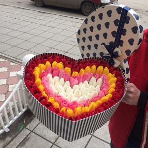 10995046_574256562711131_408026923_n