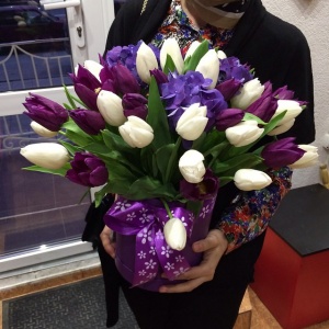 11138046_819583341457631_1023568000_n