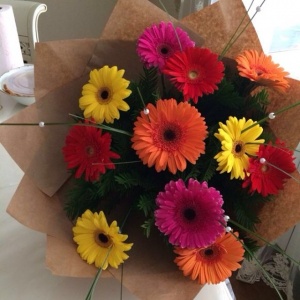 10520349_784782411573362_2043407516_n