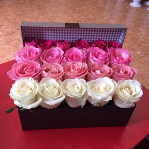 11008357_780405795370851_1443299362_n