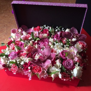 10948984_1576322385954994_1289922443_n