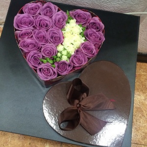 10932216_890648157646799_161136089_n