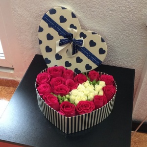 10954224_660774830699895_640475419_n