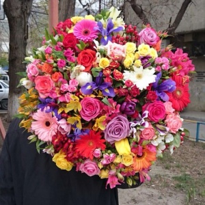 10261021_741498469224134_1859568123_n