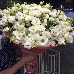 Букет жениха...1901