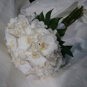 Классика- никогда не  выйдет из моды!