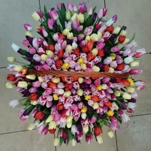 Корзины с цветами в Махачкале...105