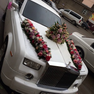 10899374_481413402012255_1657502616_n