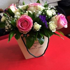 10986325_1579684078944564_31562210_n