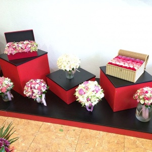 10838634_1543844092567986_2079049201_n