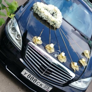 10424357_522364917892666_1417316335_n