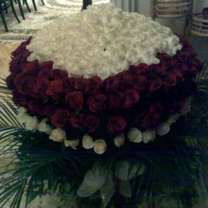 c0710a74abbe11e39d7812ff38e342a5_8