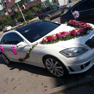 10735002_288238488037849_175129904_n