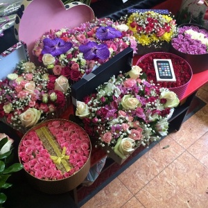 11005271_613225542154847_1137924091_n