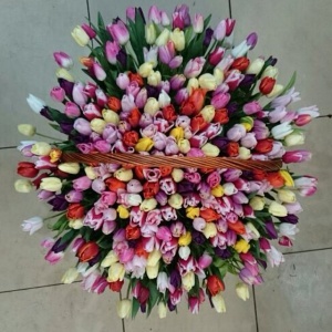 1527715_236462429881971_393858381_n