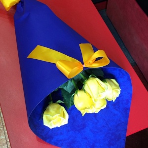 11142990_1600067190233459_253600539_n