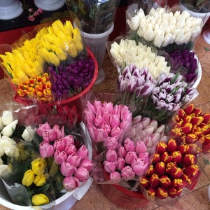 11085089_1094284590598051_1511562587_n