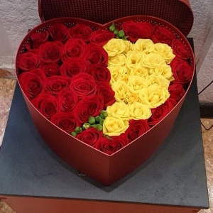 11049387_1563793227231594_695230899_n