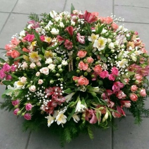 915685_1440005112930631_1750322112_n