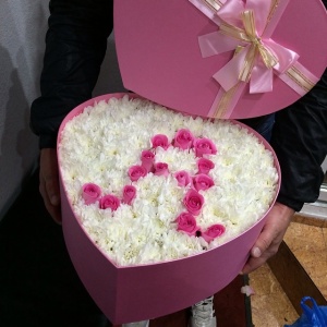 11078704_505718256235548_43826125_n