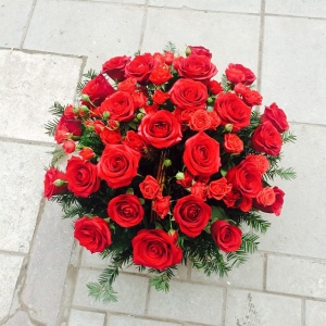 10852868_927752520576575_892314262_n