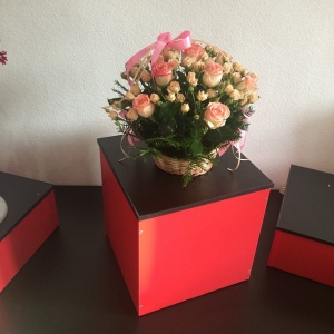 10932201_903231079708017_309754521_n