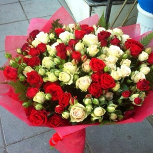 10005286_673307569396141_1374364731_n