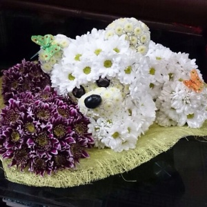 c15ccfb0b45e11e3b2ff1207002bd0dd_8