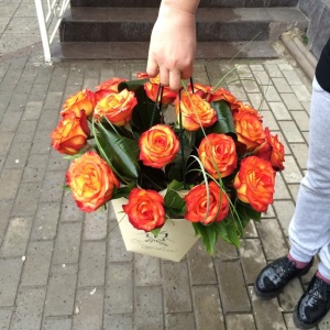 11032885_1580524822229326_1530073551_n