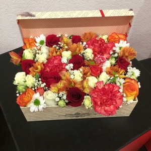 11049190_946282982071555_493709253_n