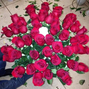 10251346_1492392860982626_1193991000_n