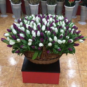 10979693_800788709997343_1497722333_n