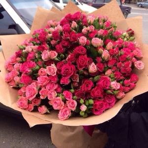 10748284_373856229445977_1334110252_n