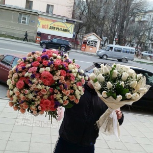 11117179_1422873988018527_1937161511_n