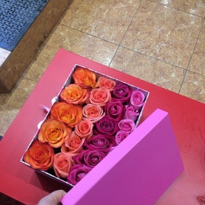 10963841_1404628136508994_307749606_n 1