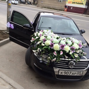 11055611_780229992085134_835616830_n 1