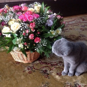 1168875_360846084070989_402820729_n