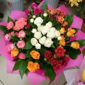 10249312_292901440866807_1090537525_n