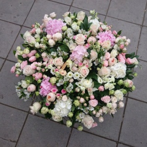 10817772_333867933459569_1634432300_n