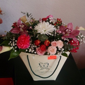 11055941_883428258346935_830098014_n