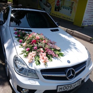 10616958_644615528969149_2120982455_n