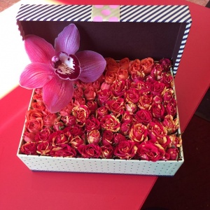 928057_875612195818237_1210092359_n